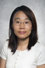 Nifang Niu, MBBS, PhD